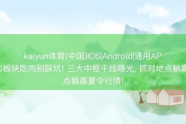 kaiyun体育(中国)IOS|Android|通用APP下载 电力板块吃肉别踩坑! 三大中枢干线曝光， 抓对地点躺赢夏令行情!