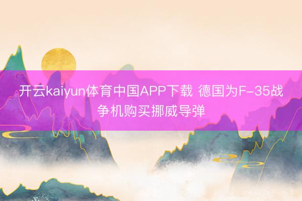 开云kaiyun体育中国APP下载 德国为F-35战争机购买挪威导弹