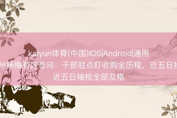 kaiyun体育(中国)IOS|Android|通用APP下载 漳州杨梅有好音问：干部驻点盯收购全历程，近五日抽检全部及格