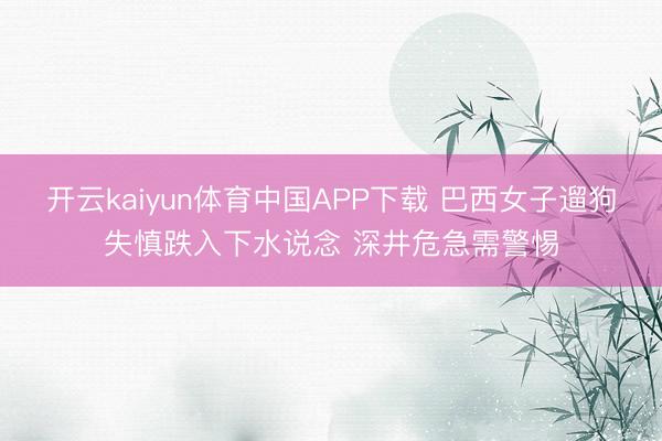 开云kaiyun体育中国APP下载 巴西女子遛狗失慎跌入下水说念 深井危急需警惕