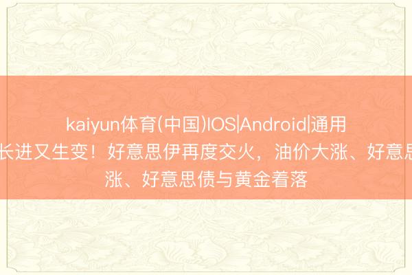 kaiyun体育(中国)IOS|Android|通用APP下载 媾和长进又生变！好意思伊再度交火，油价大涨、好意思债与黄金着落