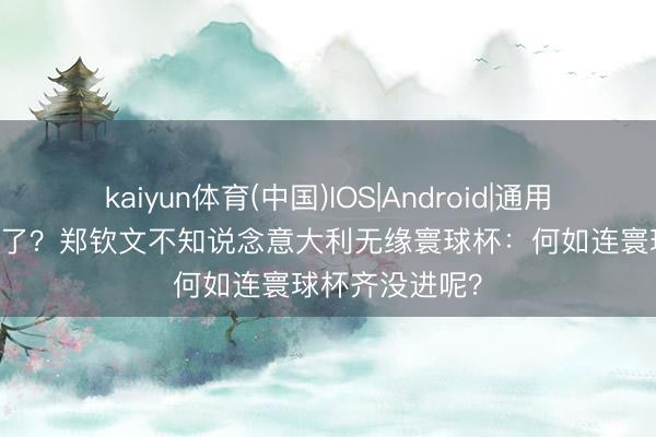 kaiyun体育(中国)IOS|Android|通用APP下载 断网了？郑钦文不知说念意大利无缘寰球杯：何如连寰球杯齐没进呢？