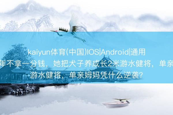 kaiyun体育(中国)IOS|Android|通用APP下载 仳离24年不拿一分钱，她把犬子养成长2米游水健将，单亲姆妈凭什么逆袭？